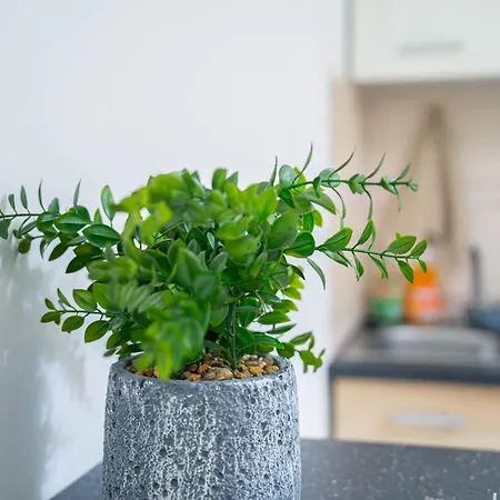 Onar Mackenzie 1 Appartamento